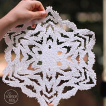 Salt Crystal Snowflakes 10